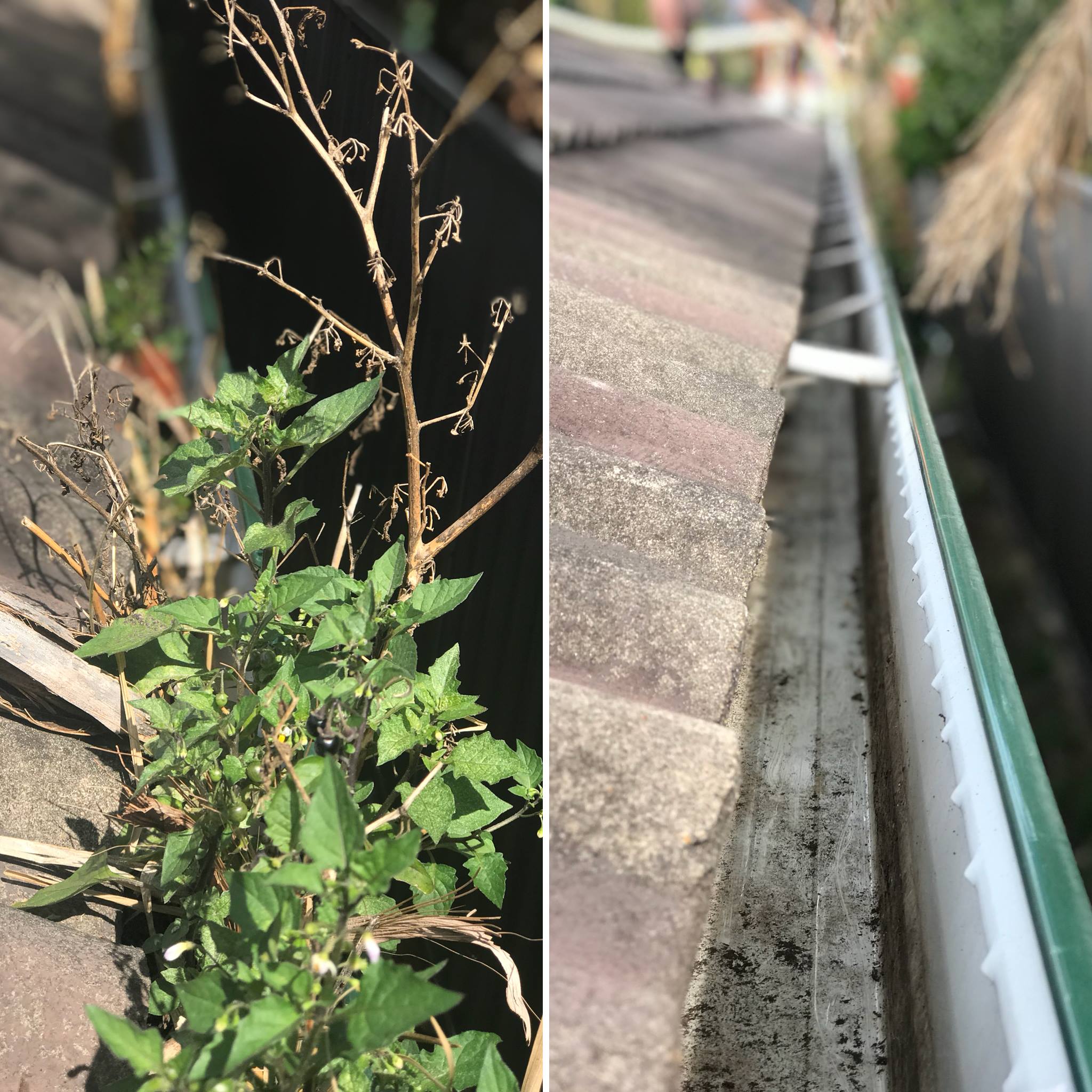 Fotos de Action Gutter Cleaning