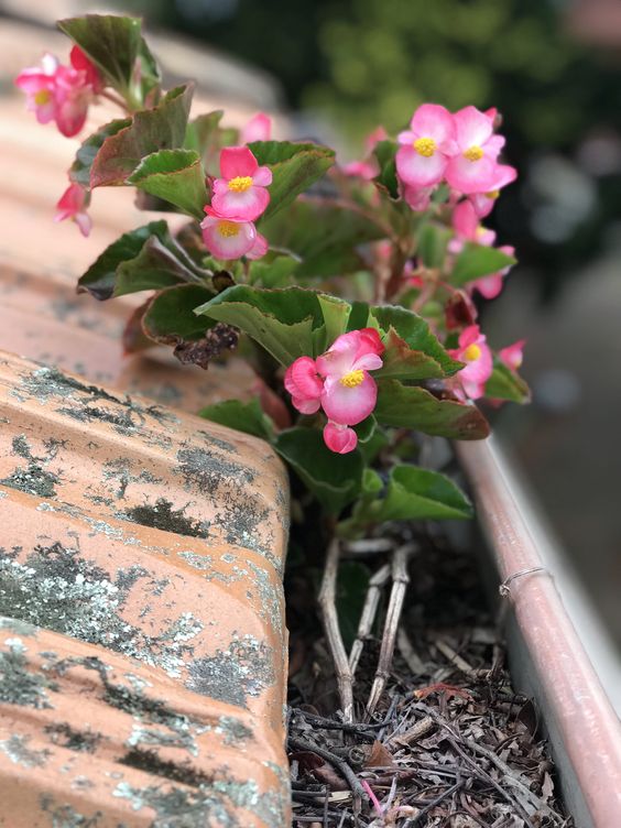 Foto de Action Gutter Cleaning Sutherland Shire