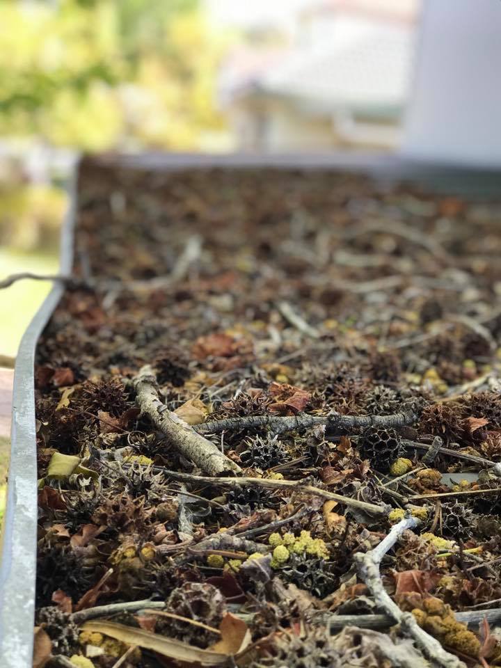 Action Gutter Cleaning Sutherland Shire