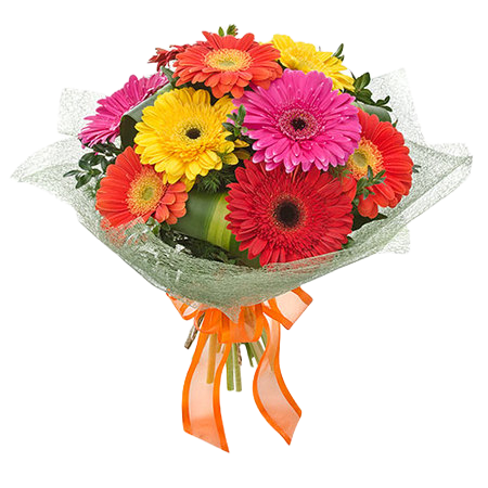 Fotos de Alexander House Of Flowers