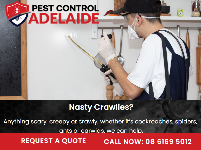 Foto de Best Pest Control Adelaide