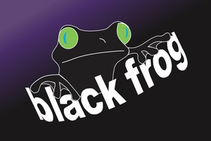 Blackfrog Australia Brisbane