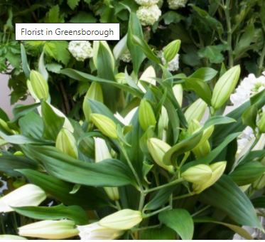 Bloom Blessing Yarra Ranges