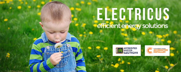 electricus Hurstville