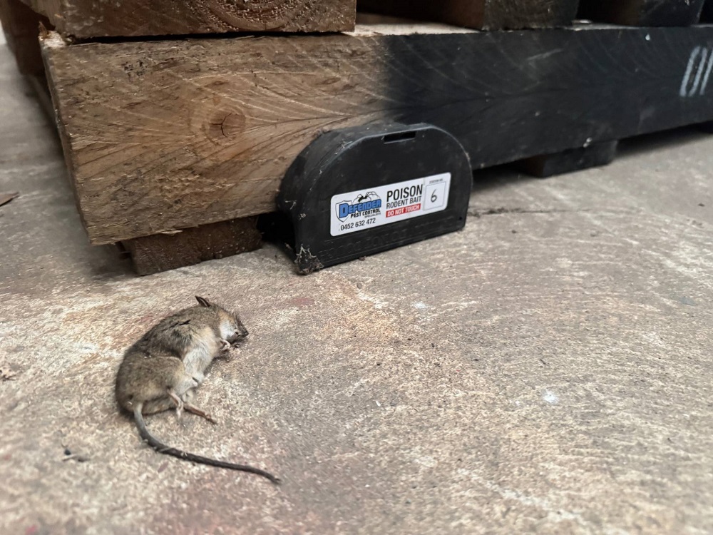 Foto de Defender Pest Control Specialists