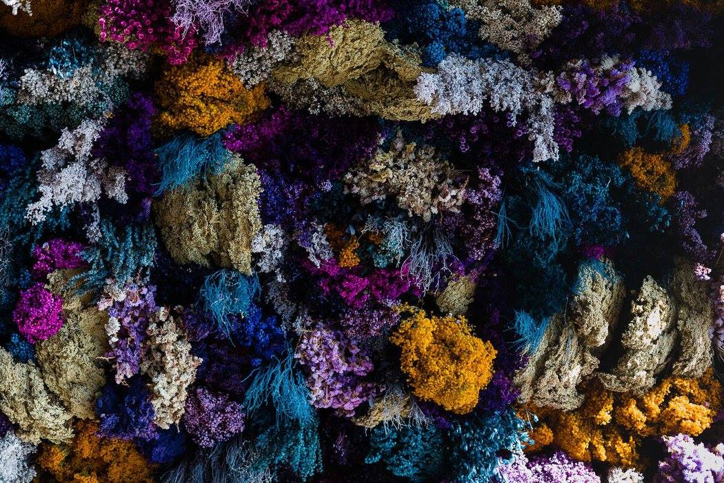 Foto de Gather Gold Coast