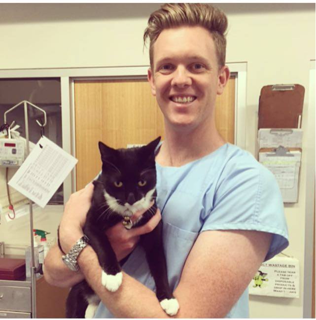 Foto de Gordon Vet Hospital Sydney