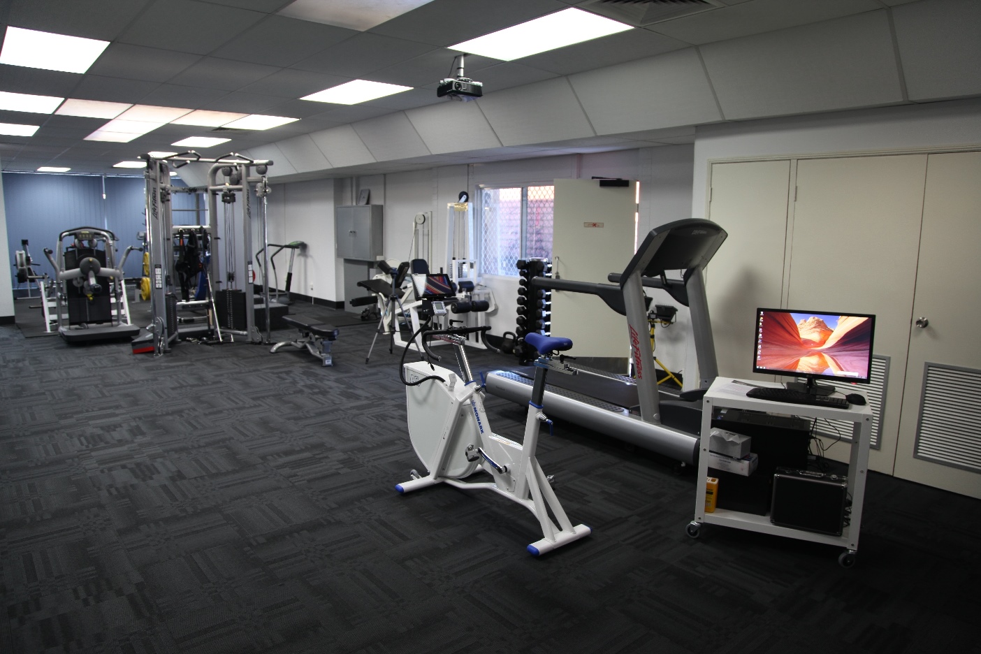 Fotos de Institute of Sports and Spines