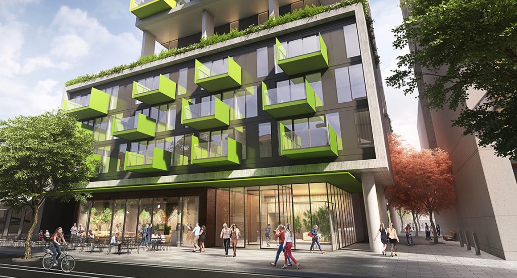 Foto de Kodo Adelaide