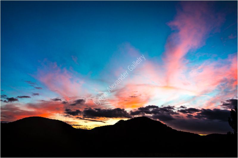 Foto de Lynne Alexander Gallery Sydney