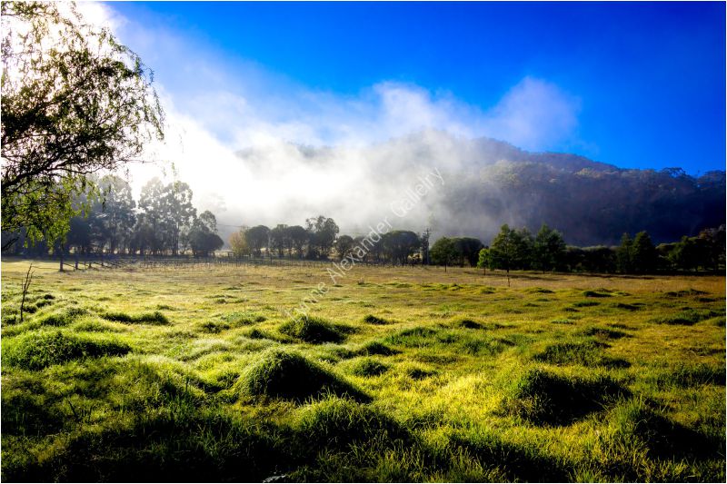 Foto de Lynne Alexander Gallery