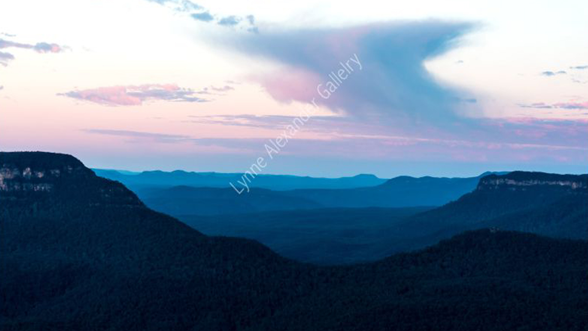 Lynne Alexander Gallery Sydney