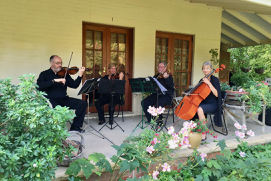 Fotos de Mainly Mozart String Quartet