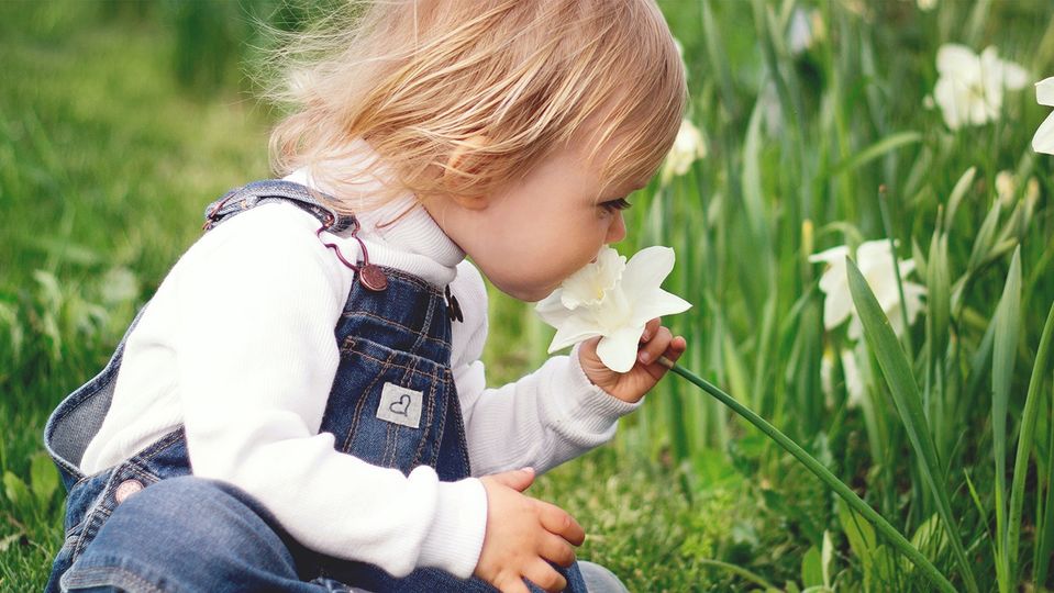 Mary Rice Early Learning Centre Brisbane