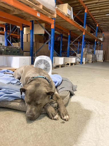 Fotos de Northside Logistics and Finishers