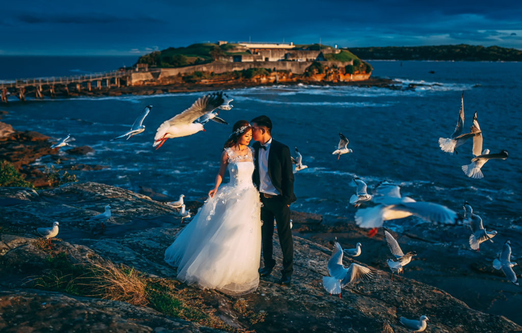 Foto de Pepper Image - Wedding Photographers Sydney