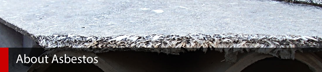 Pro Asbestos Removal Sydney Manly