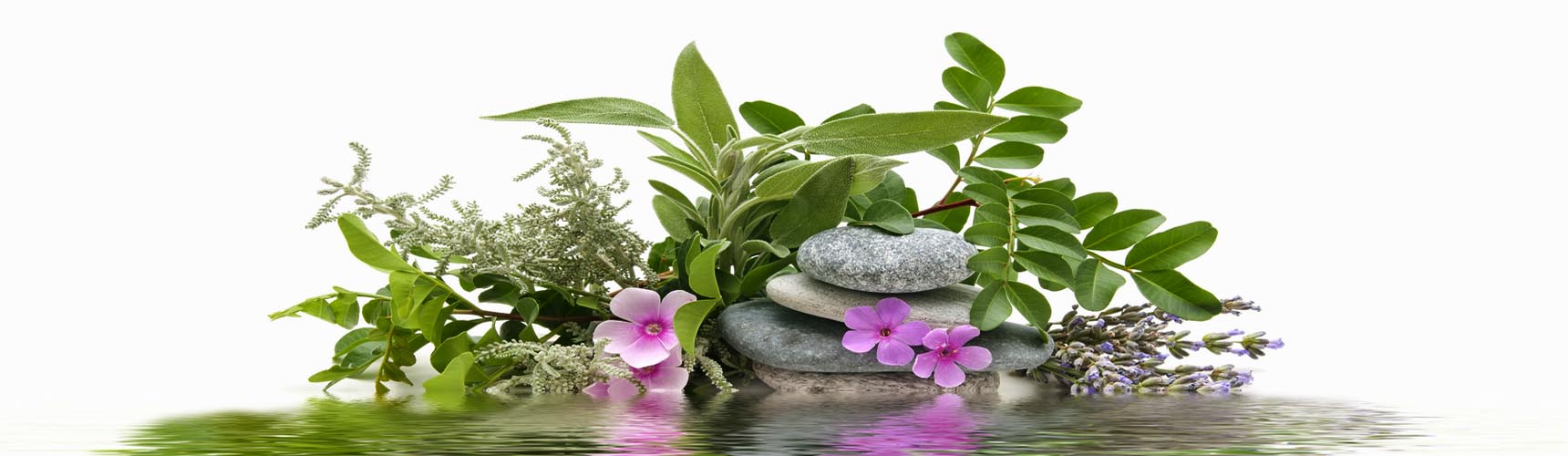 Foto de Sanative Massage Clinic