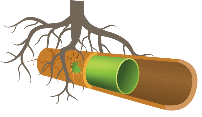 Sewer Pipe Relining Sydney Sydney