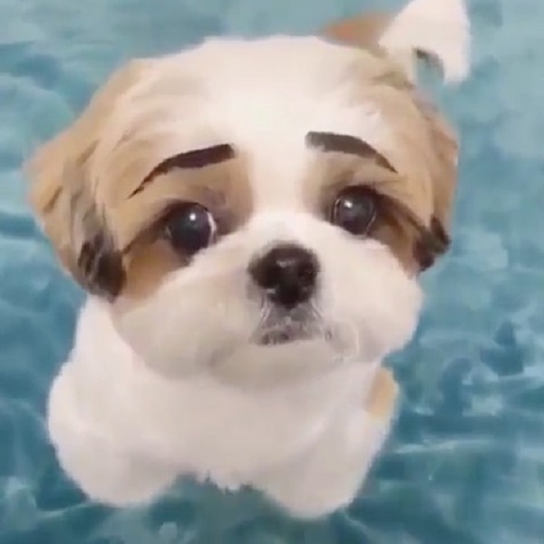 Velvet Lashes and Beauty Melbourne