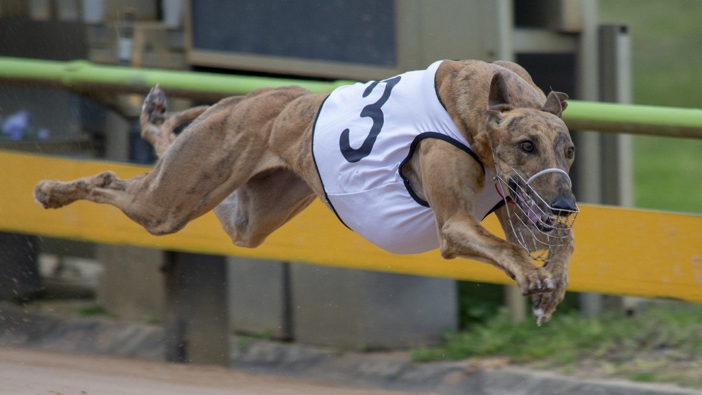 Foto de Wagbet Investments